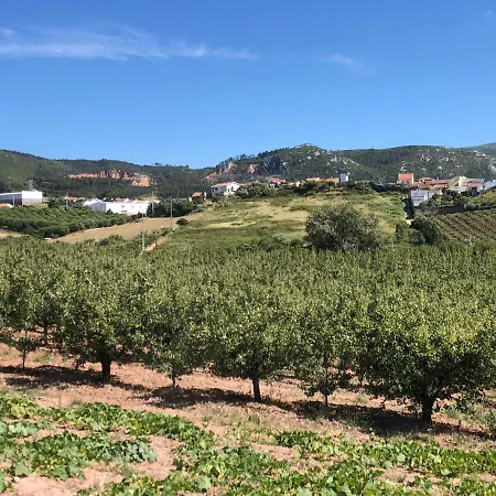Terra Luso Proche De Montejunto Bed & Breakfast