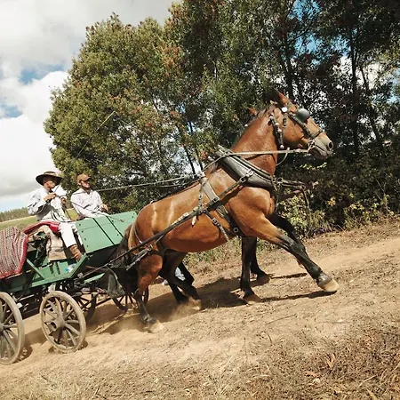 Terra Luso Bed & Breakfast Cadaval