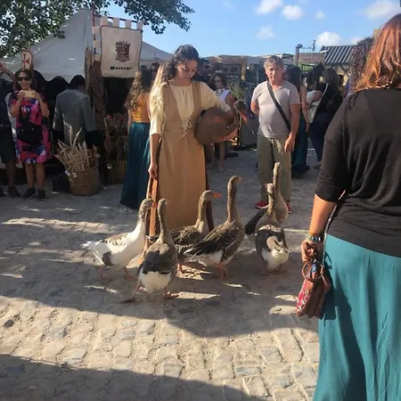 Bed & Breakfast Terra Luso 3*