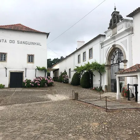 Terra Luso Proche De Montejunto Bed & Breakfast Cadaval