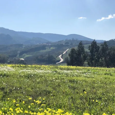 Bed & Breakfast Terra Luso Proche De Montejunto 3*