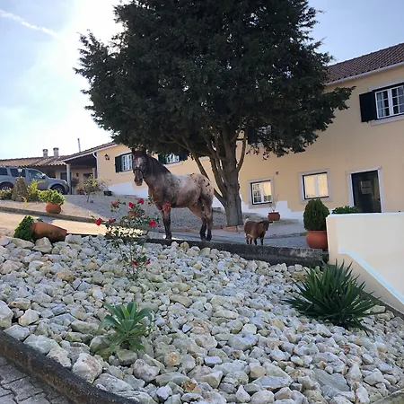 Terra Luso Cadaval