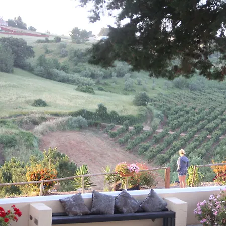 Terra Luso 3*