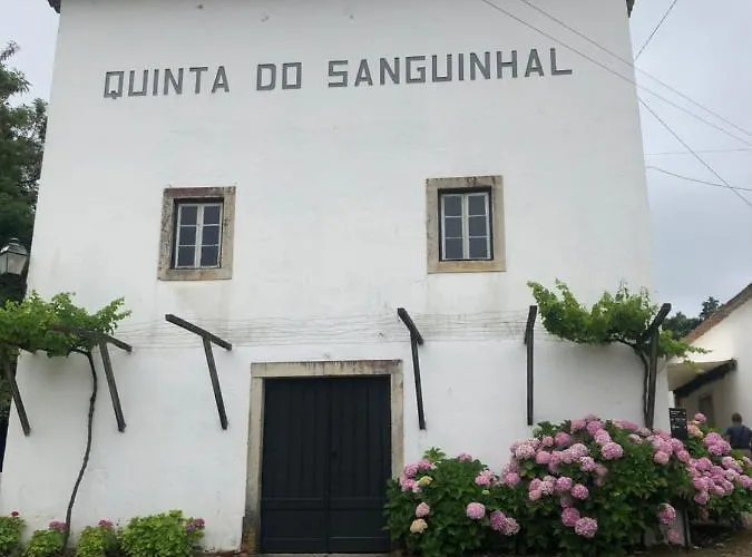 Terra Luso 住宿加早餐酒店 3*