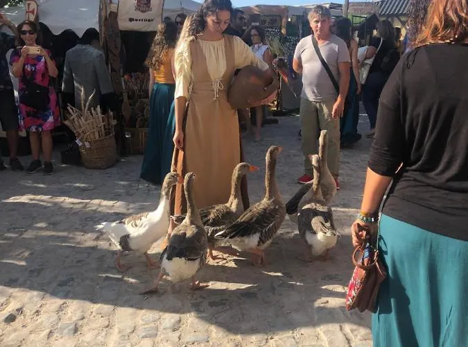 Bed and Breakfast Terra Luso 3*