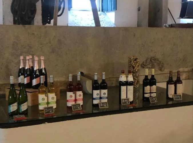 Terra Luso 住宿加早餐酒店