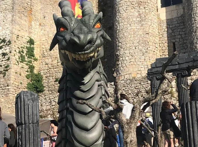 Bed and Breakfast Terra Luso