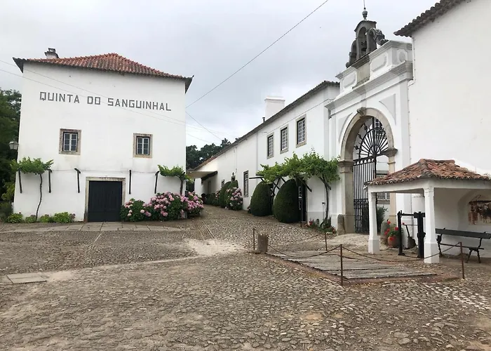 Terra Luso 住宿加早餐酒店 Cadaval