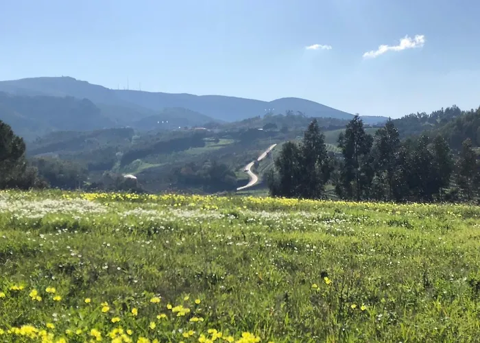 Bed and Breakfast Terra Luso 3*